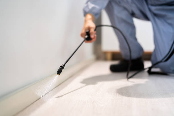 Bed Bug Pre-Treatment Preparation Assessment in Houghton Lake