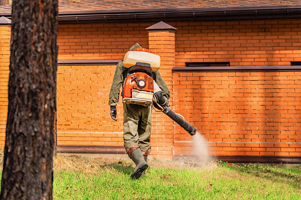 Bed Bug Clearance Verification and Documentation in Houghton Lake